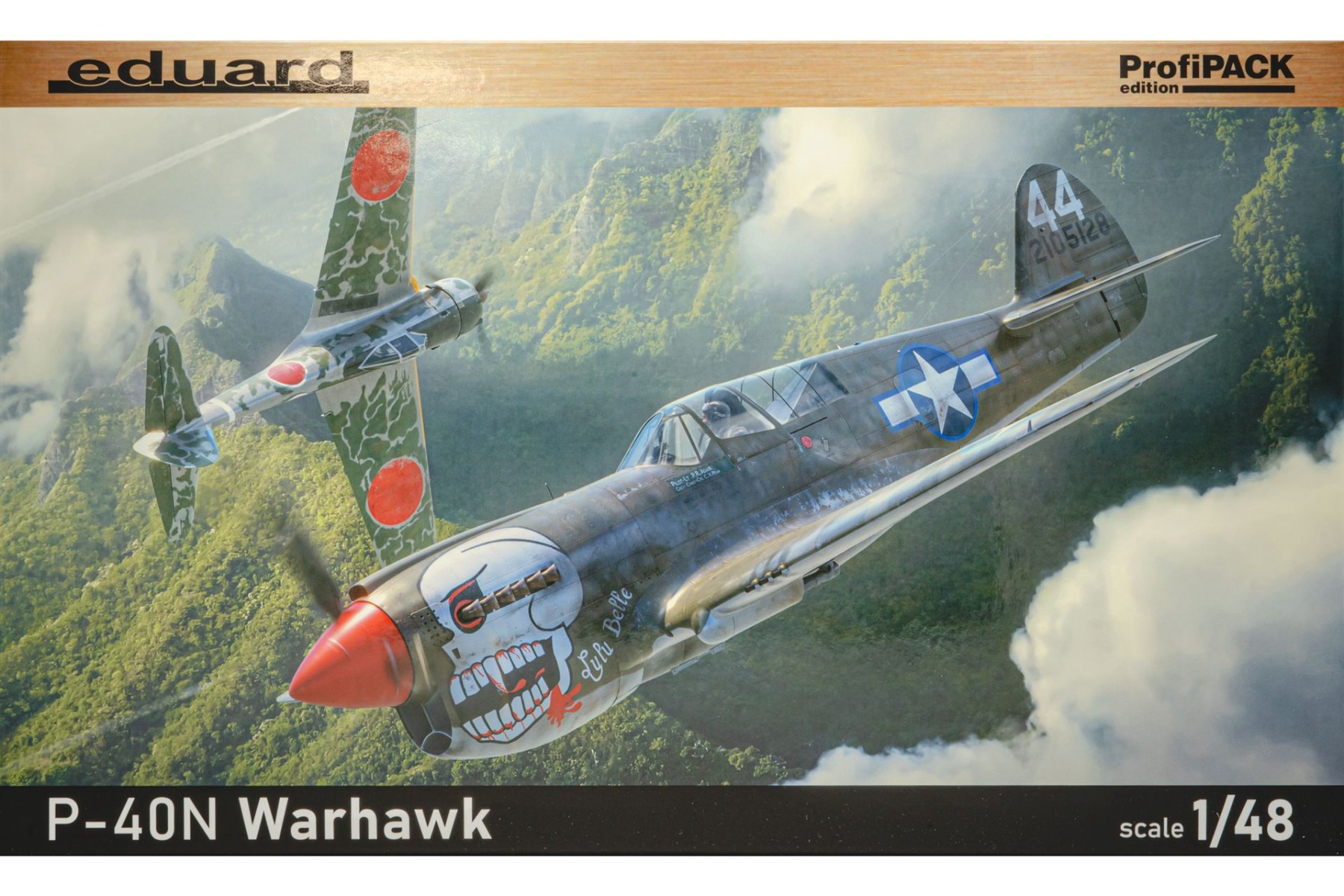 Eduard 82242 P-40N Warhawk, ProfiPACK Edition, model kit